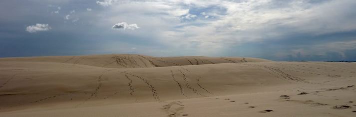 Sand Dunes