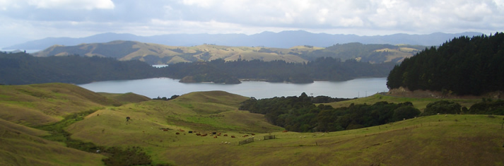 Coromandel