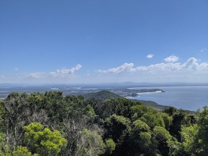 PXL_20210410_020403093