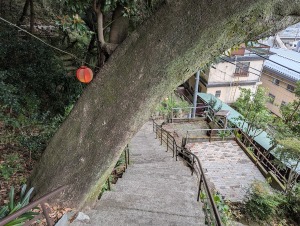 hakone_00032