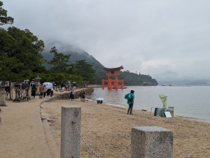 Miya_00007