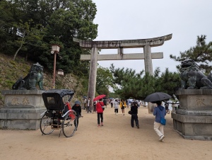 Miya_00008