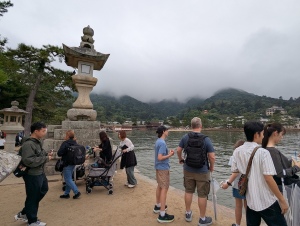 Miya_00011