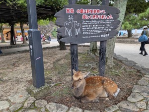 Miya_00022