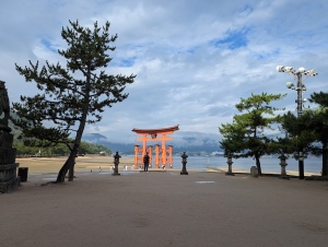 Miya_00047