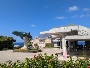okinawa00041
