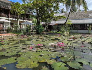 luangprabang_00005