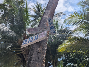 dhigurah_00008