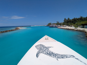 dhigurah_00025