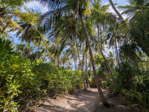dhigurah_00028