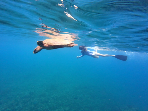 dhigurah_00045
