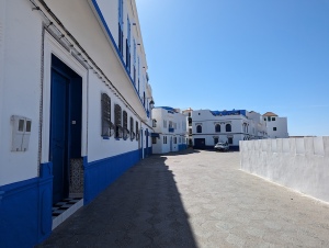 mor_041