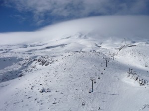 1008_020