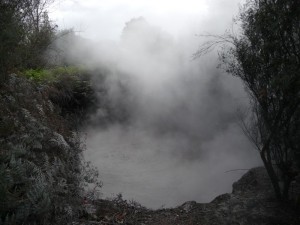 1008_026