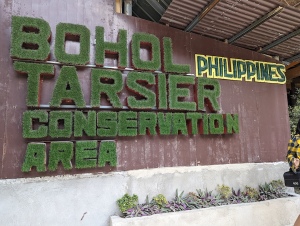bohol_0035