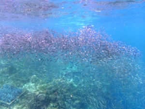 bohol_0047