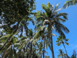 Boracay_021