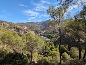 cam_004