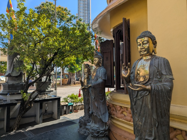 colombo_00009