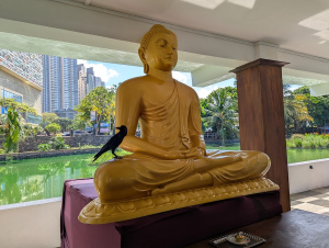 colombo_00016