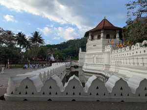 ella_00040