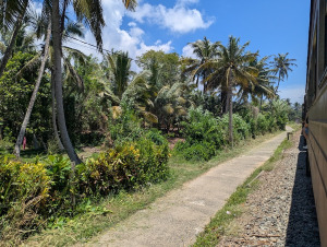 galle_00010