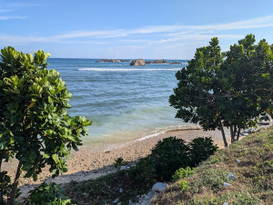 galle_00024