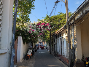 galle_00029