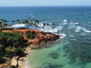 mirissa_00019