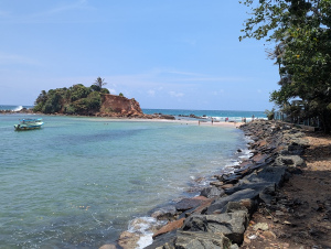 mirissa_00020