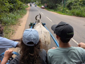 sigiriya_00033
