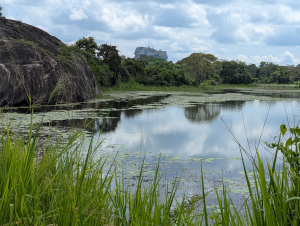 sigiriya_00035