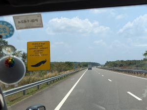 udawalawe_00001