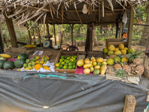 udawalawe_00006