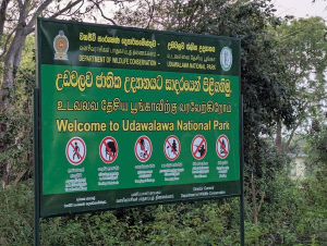 udawalawe_00020