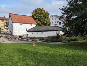 uppsala_016