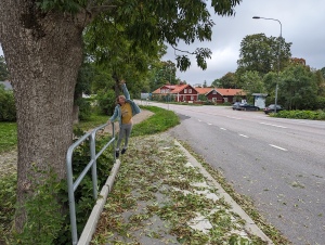 uppsala_033