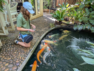 chiangmai_00004