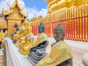 chiangmai_00031
