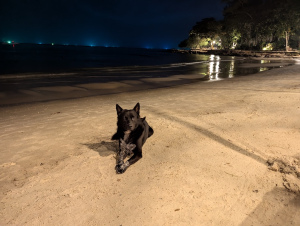 kohsamet_00025