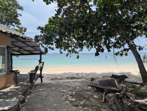 kohsamet_00033