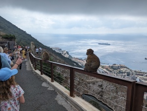 gib_014