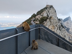 gib_017