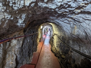 gib_019