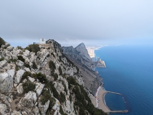 gib_021